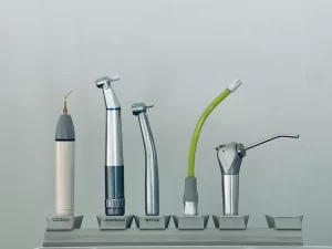 animal dental system